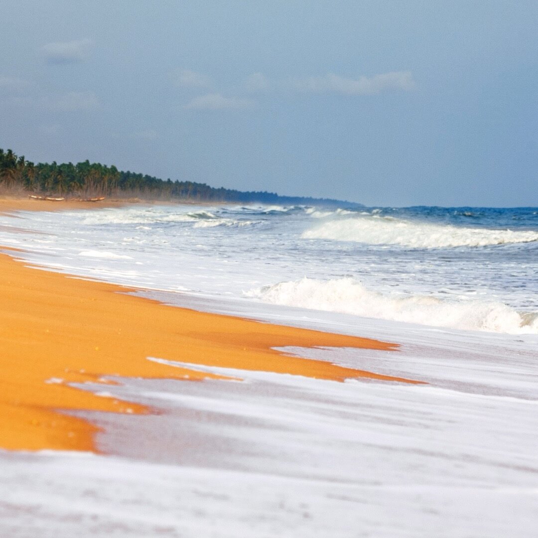 African beach - Ouidah, Benin
