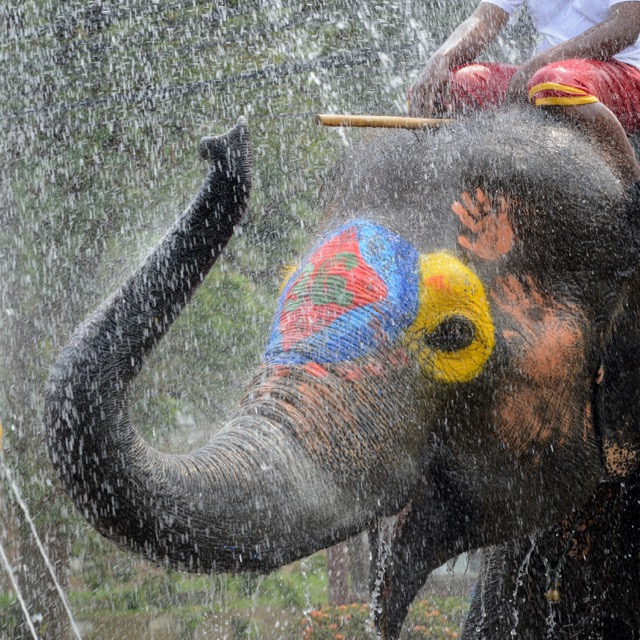 FESTIVAL DE SONGKRAN EN THAÏLANDE