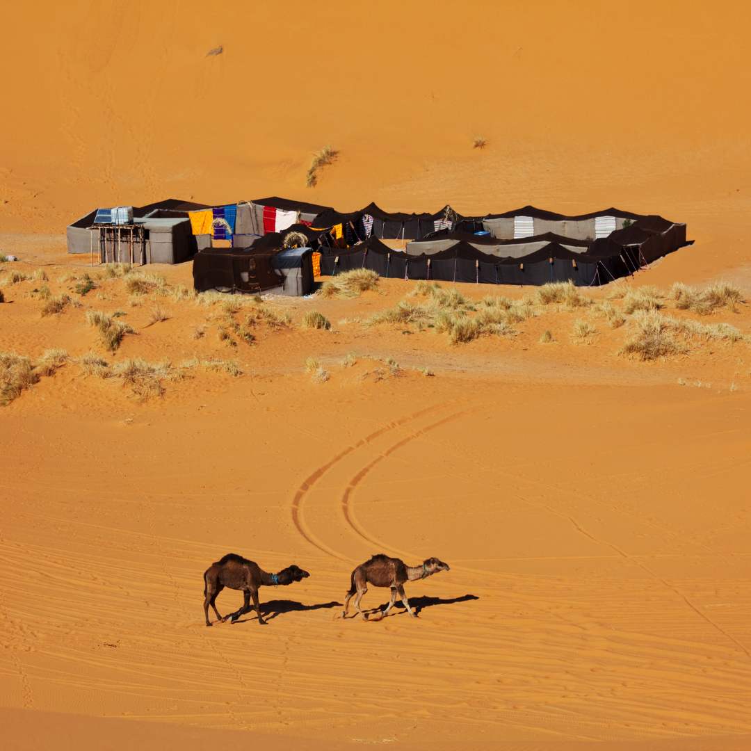 El campamento de beduinos en el Sahara, Marruecos