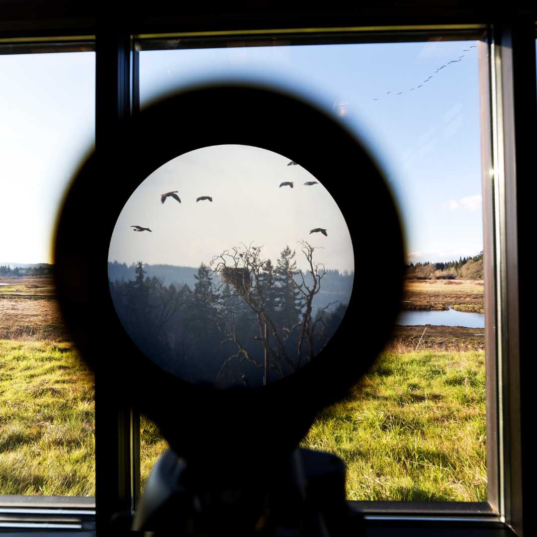 Close up view of a telescope aiming at eagle's nest in the wildlife conservation area with bird flying in the background.Shot with 14mm lens