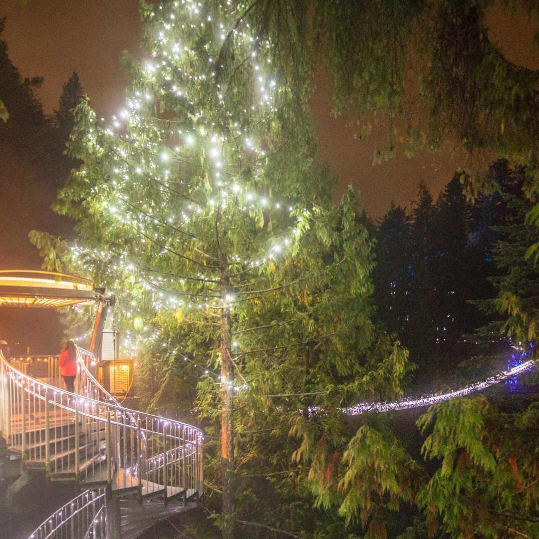 El parque del puente colgante de Capilano en Vancouver, Columbia Británica, está iluminado para las fiestas