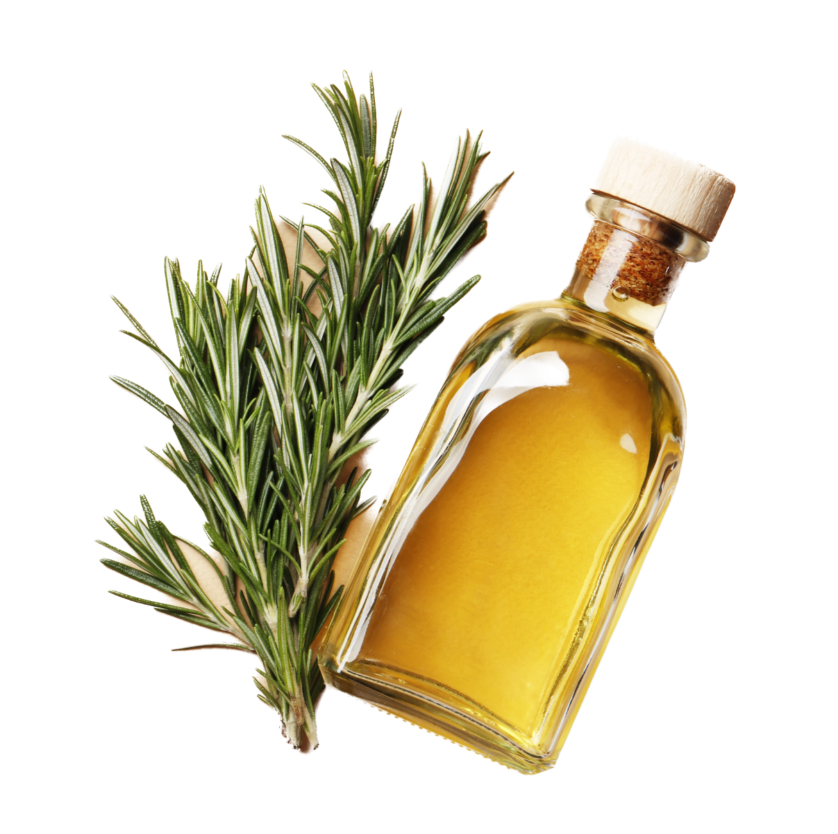 Flat lay composition with fresh rosemary