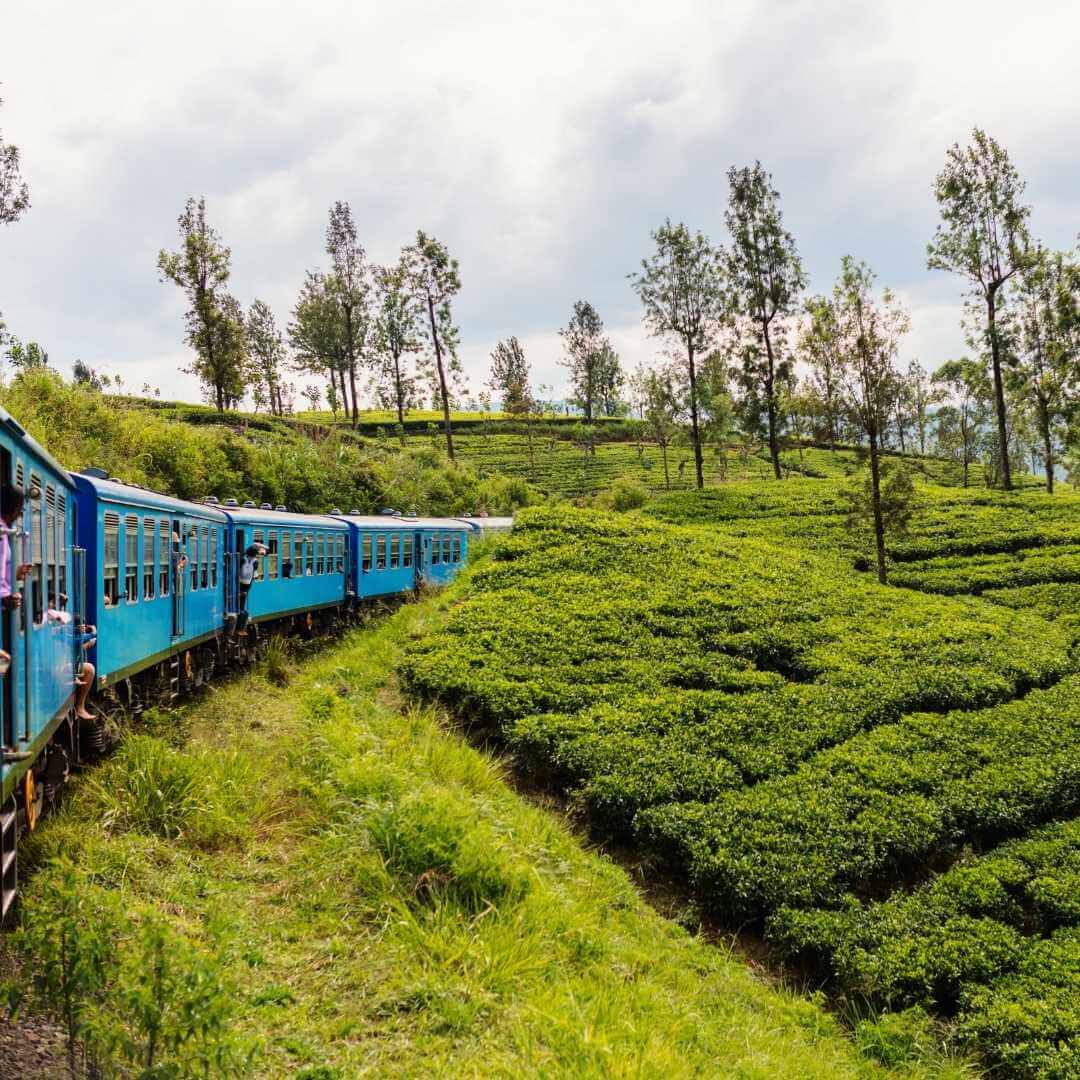 Train ride from Ella to Kandy among tea plantations in the highlands of Sri Lanka