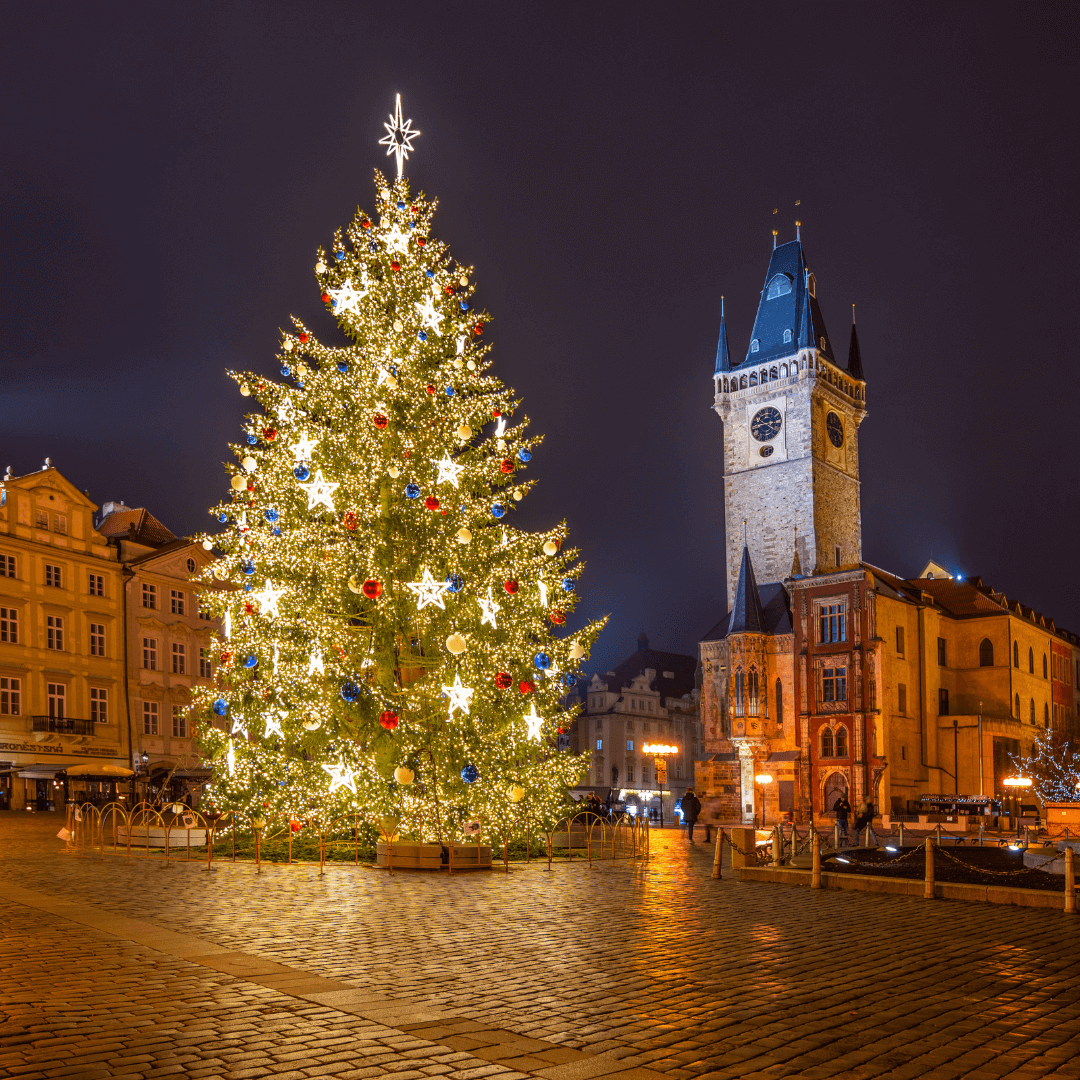 Decorated Christmas Tree and Old Town Hall on Old Town Square - Staromestske Namesti, Prague, Czech Republic