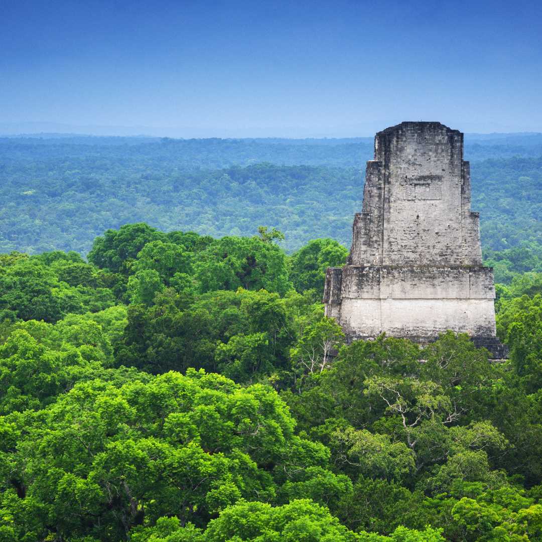 Blick auf einen der verschiedenen Tempel der archäologischen Stätte von Tikal und den Dschungel von der Spitze eines der Bauwerke aus, die der Öffentlichkeit zugänglich sind
