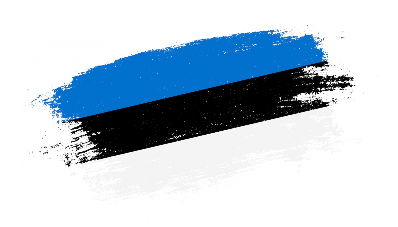 Flag of Estonia country on brush paint stroke trail view. Elegant texture of national country flag