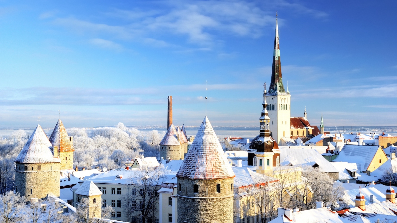 город Таллинн.  Эстония.  Снег на деревьях зимой
