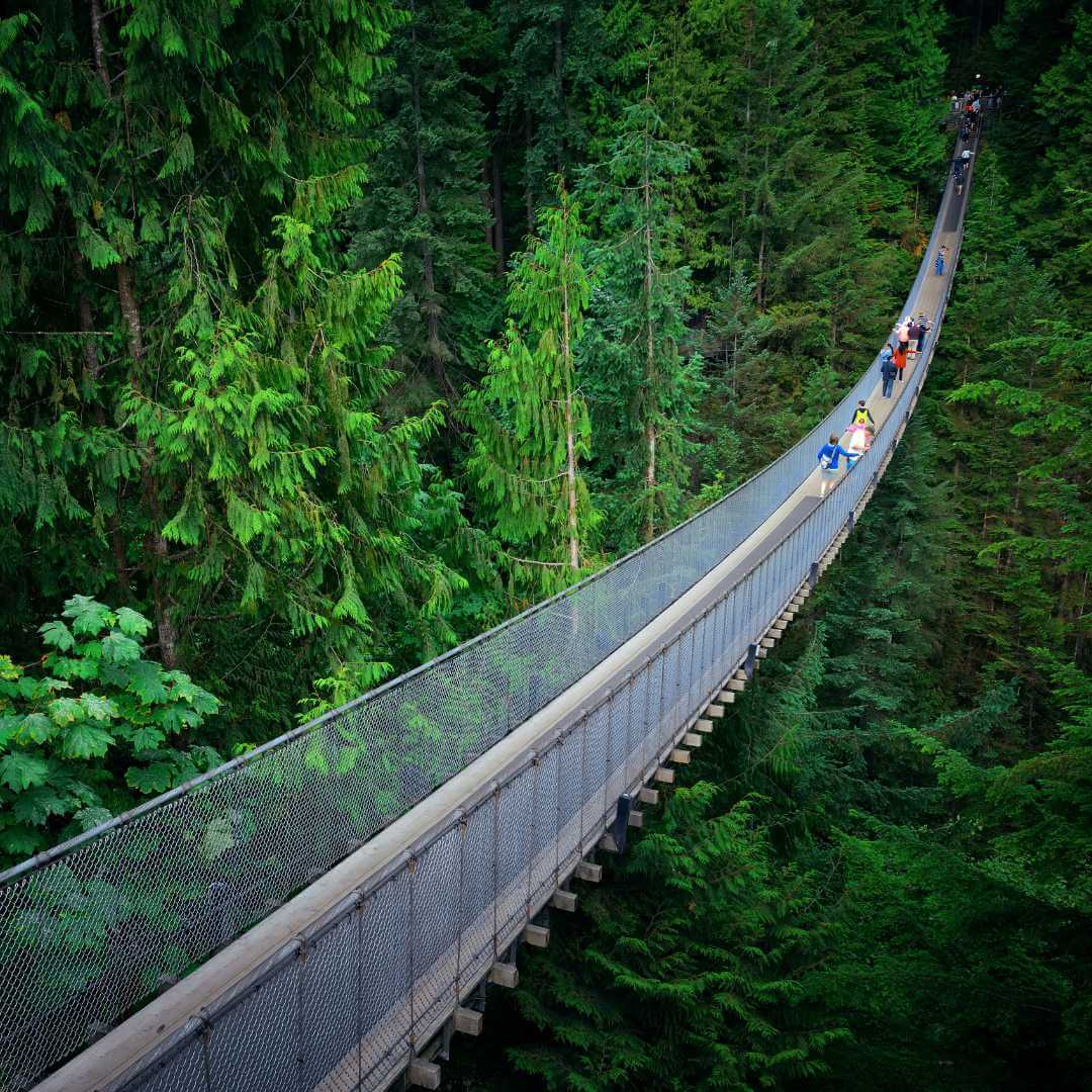 The Capilano Suspension Bridge Park in Vancouver, British Columbia