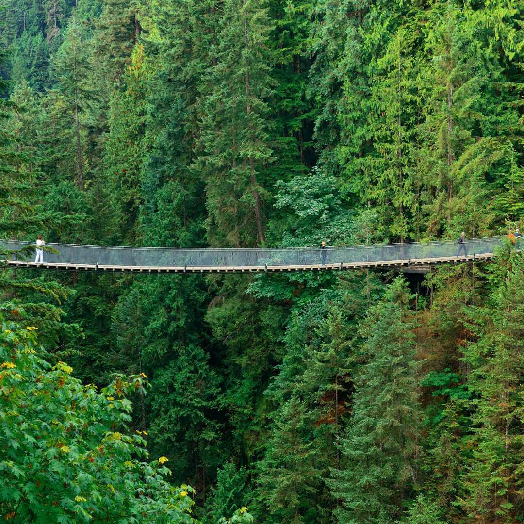 The Capilano Suspension Bridge Park in Vancouver, British Columbia