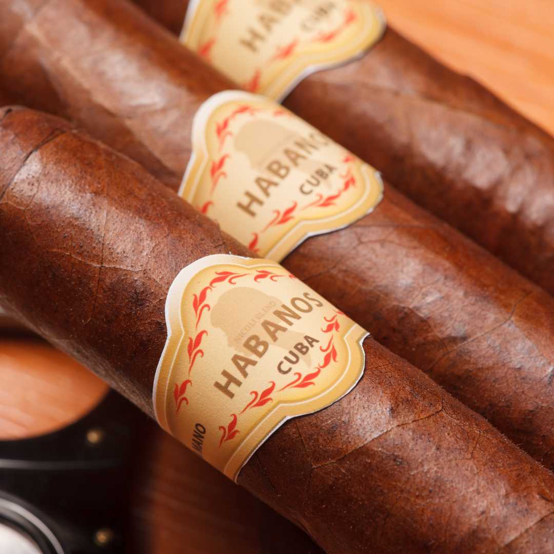 Cuban cigar, habanos. Very shallow depth of field
