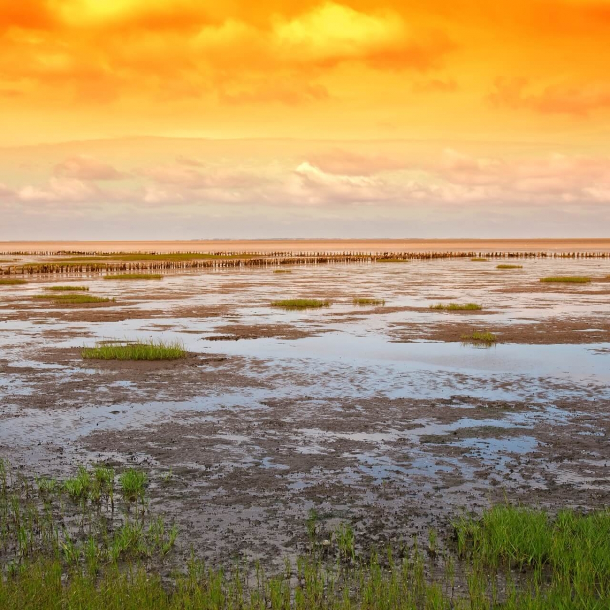 Mer des Wadden