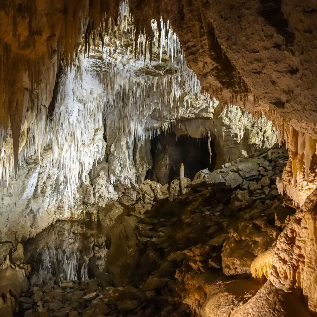 Formazioni rocciose di Waitomo nelle grotte delle lucciole, Nuova Zelanda, dettaglio dell'interno roccioso all'interno della grotta