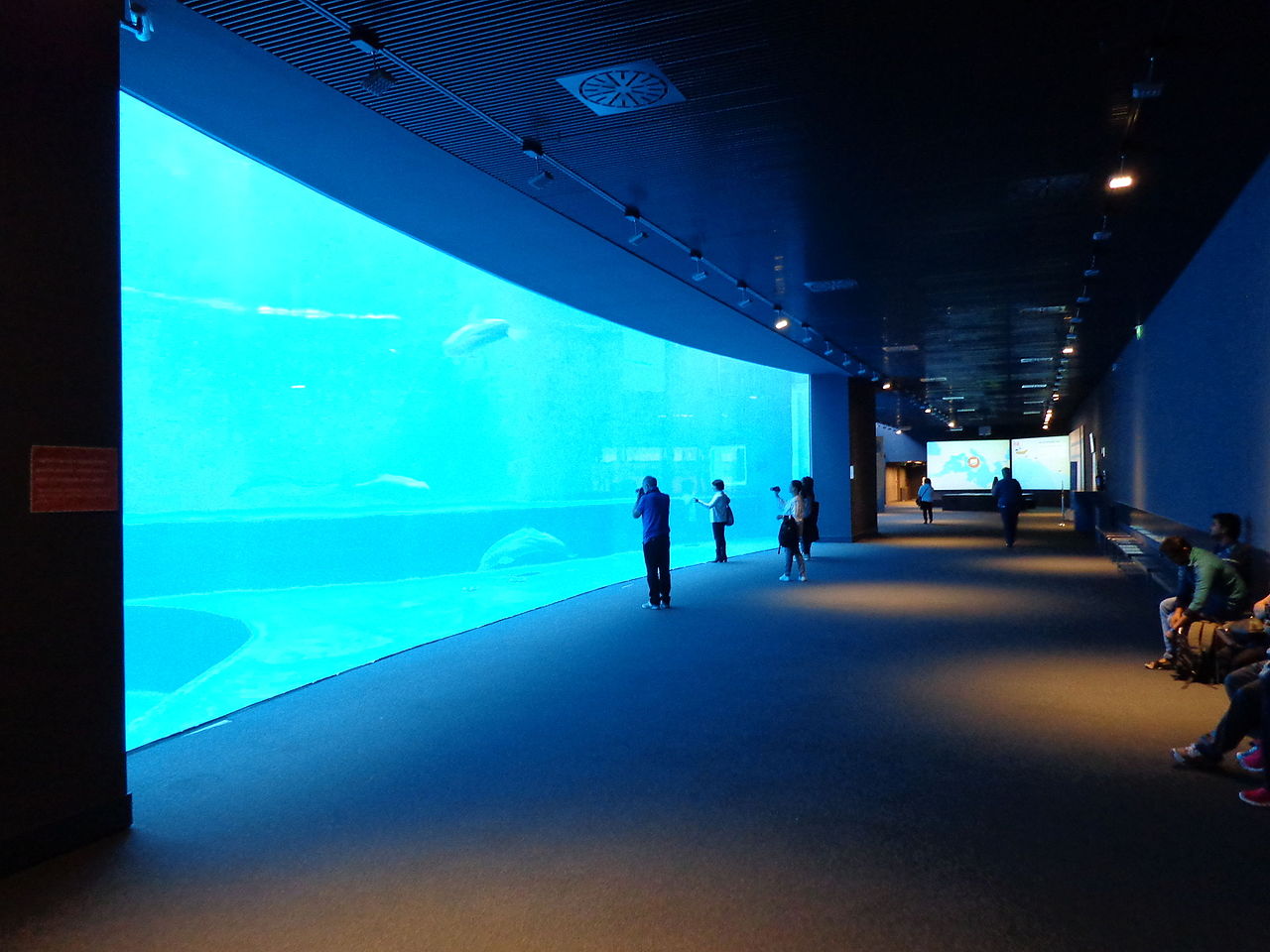 Cetaceans pavilion, Aquarium of Genoa